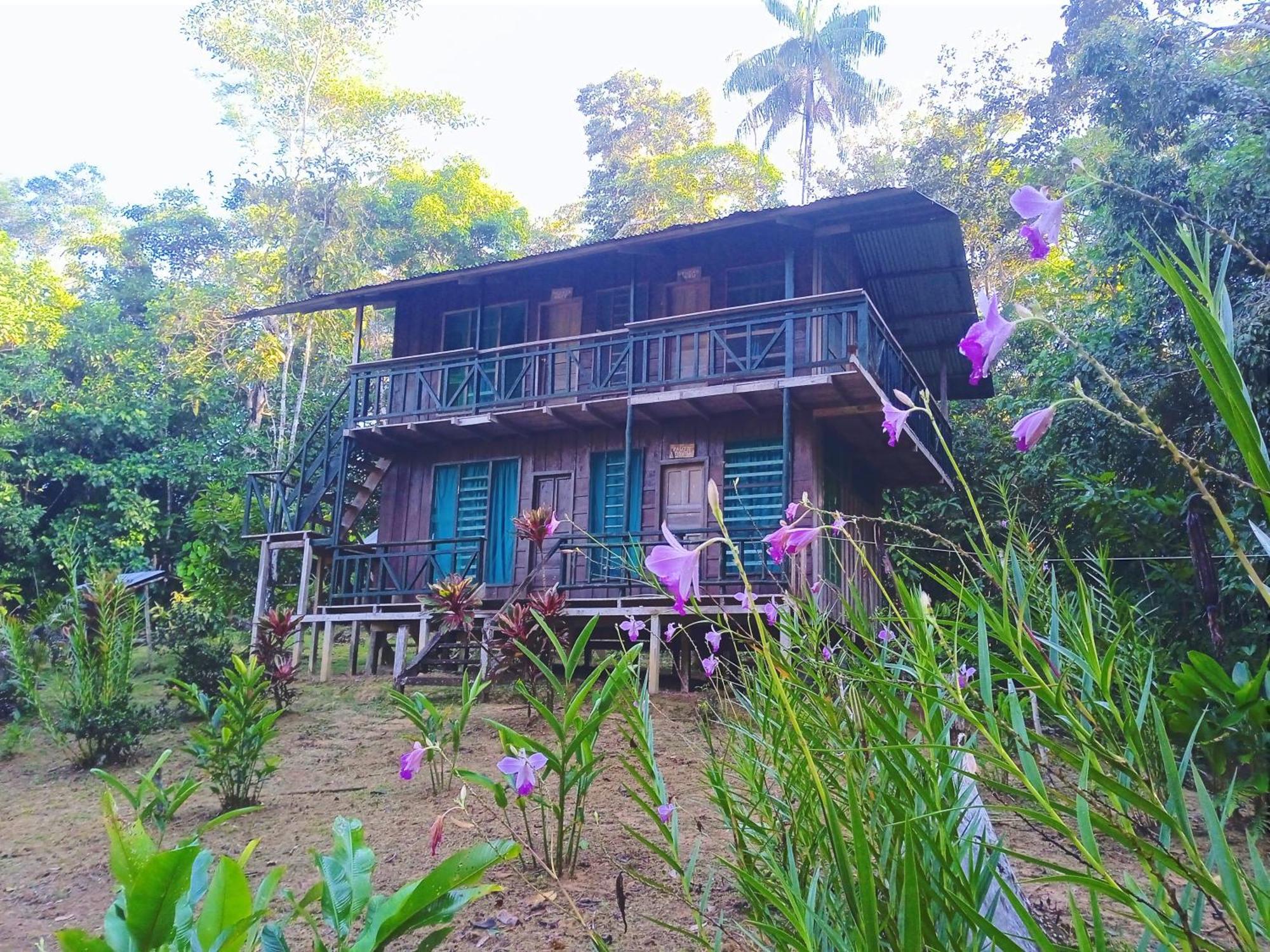 Cabanas Eco Logicas Mu'Ue Loreto Mocagua Екстериор снимка